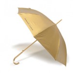 paraplu bedrukken - voorbeeld: Groninger Museum paraplu