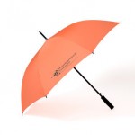 paraplu bedrukken - voorbeeld: Hanzehogeschool paraplu